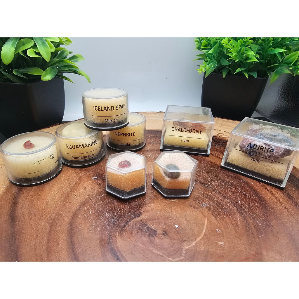 Mineral Specimen Collection in Labeled Collector Jars — 8 Pieces