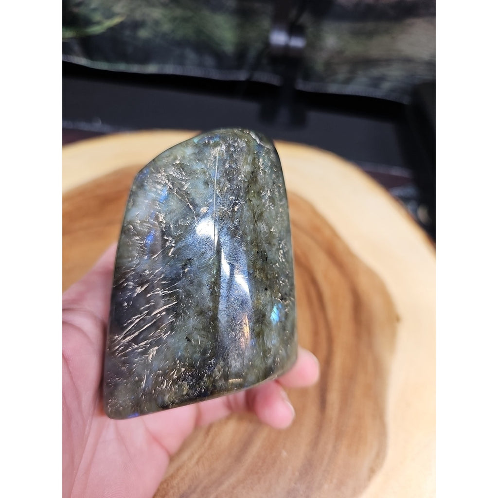 1LB 1Pcs Natural Rainbow Labradorite Crystal Spectrolite Stone by CrystalCloud Company