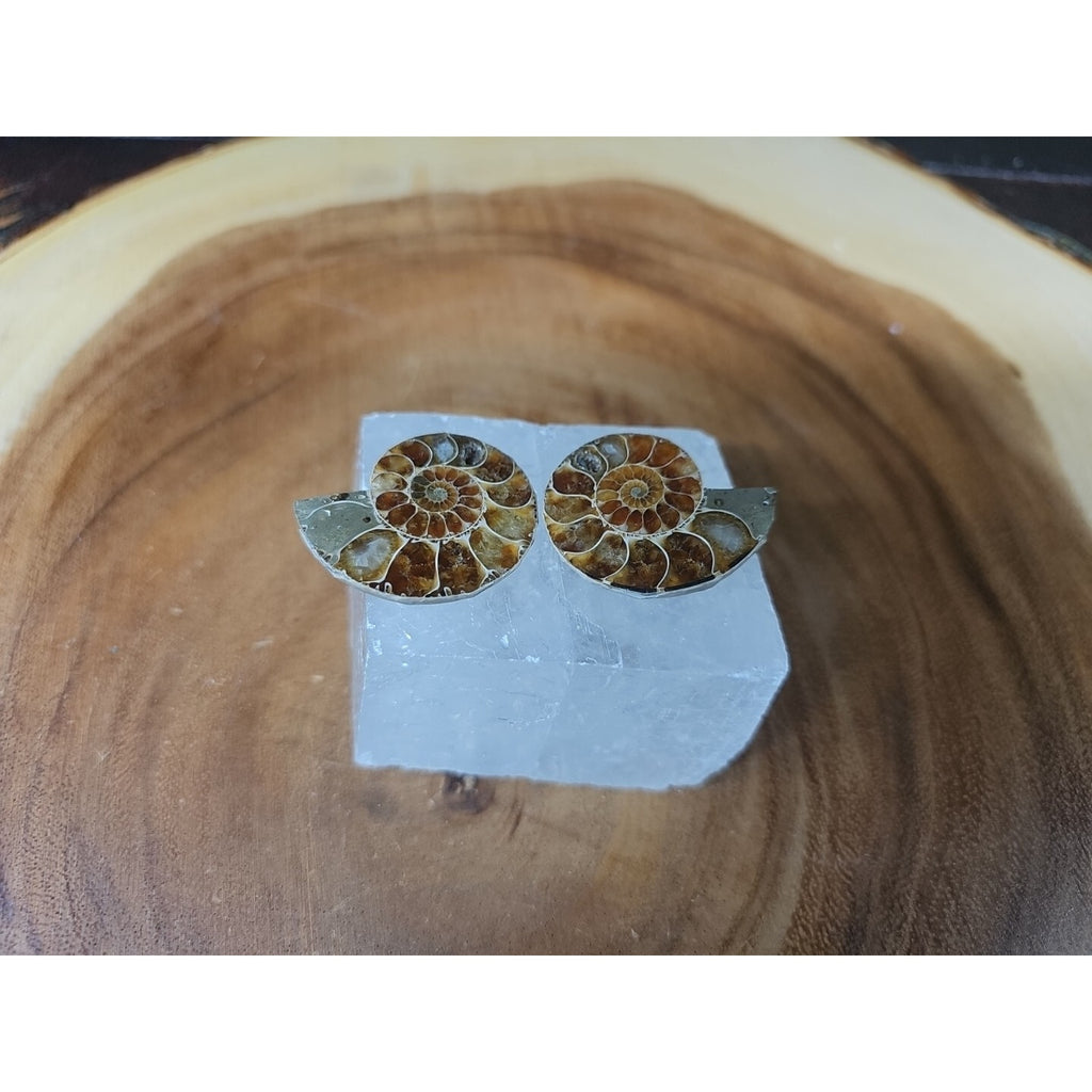 Ammonite Fossil W/Selenite Base 260g by CrystalCloud Company