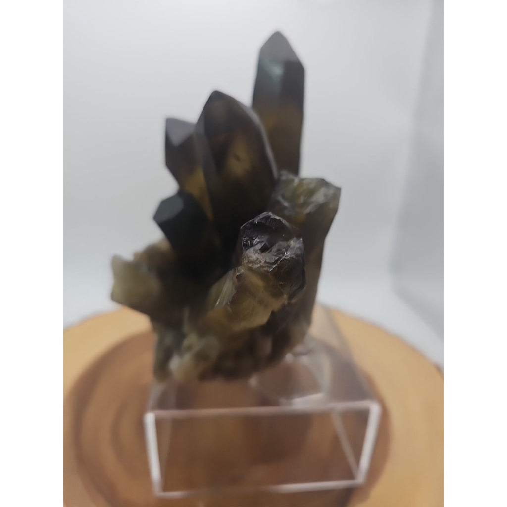 2.77LB Top rare natural beautiful black quartz crystal cluster mineral sample - by CrystalCloud Company