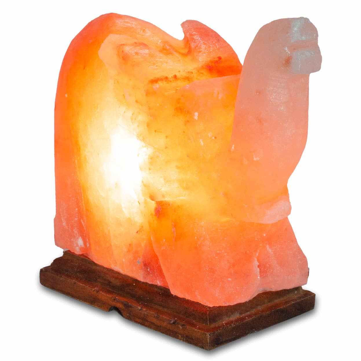 Elephant Shaped Salt Lamp - 9" avg. - Cord, Bulb, Dimmer by Sacred Crystals