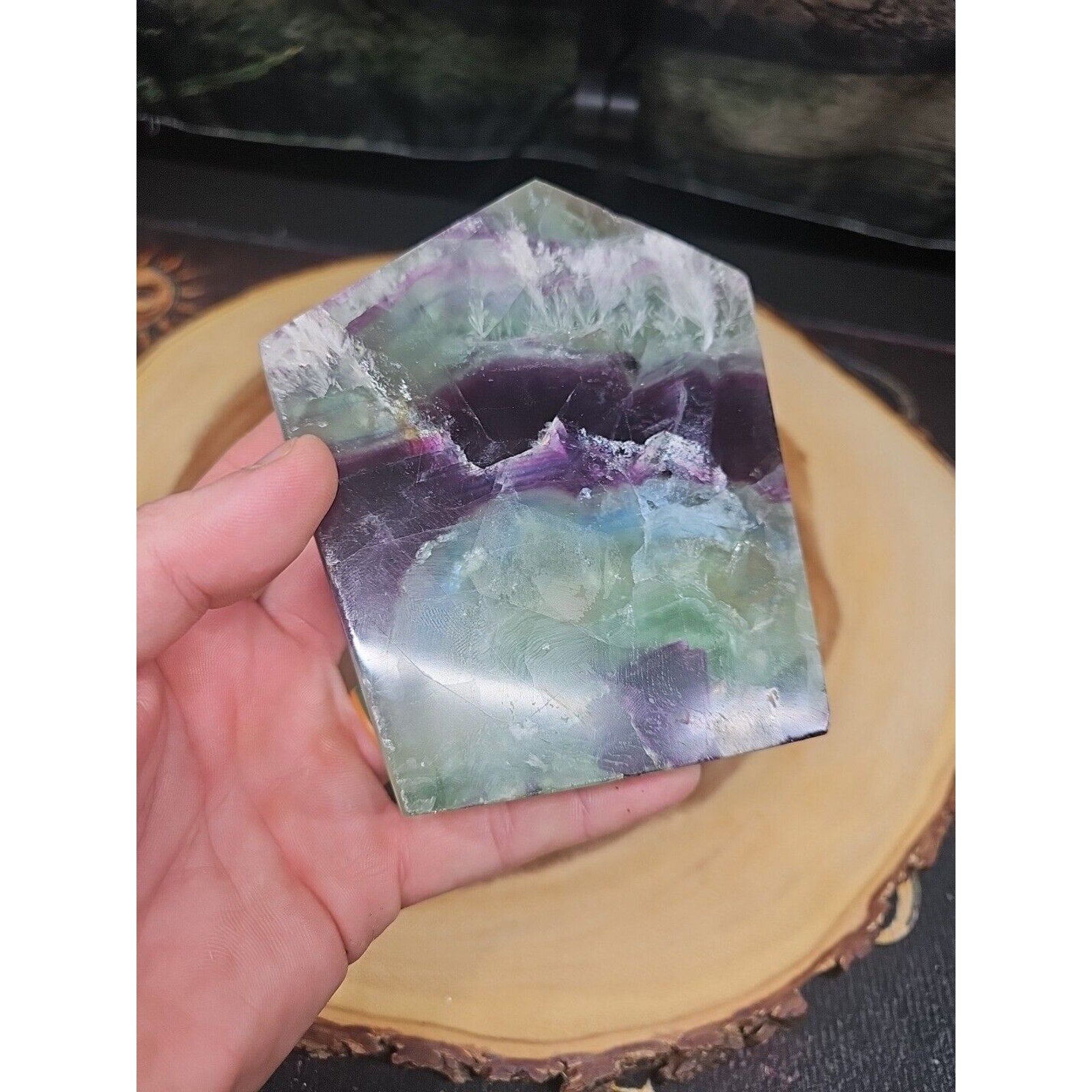 1.15LB Natural fluorite snowflake feather fluorite crystal quartz healing by CrystalCloud Company