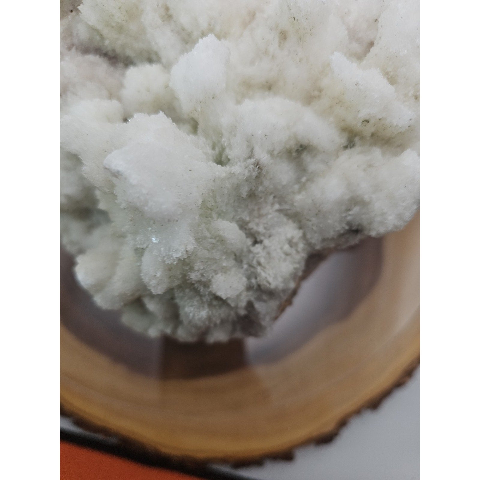 11.27LB New Find Natural Clear Selenite Gypsum Cluster Specimen by CrystalCloud Company
