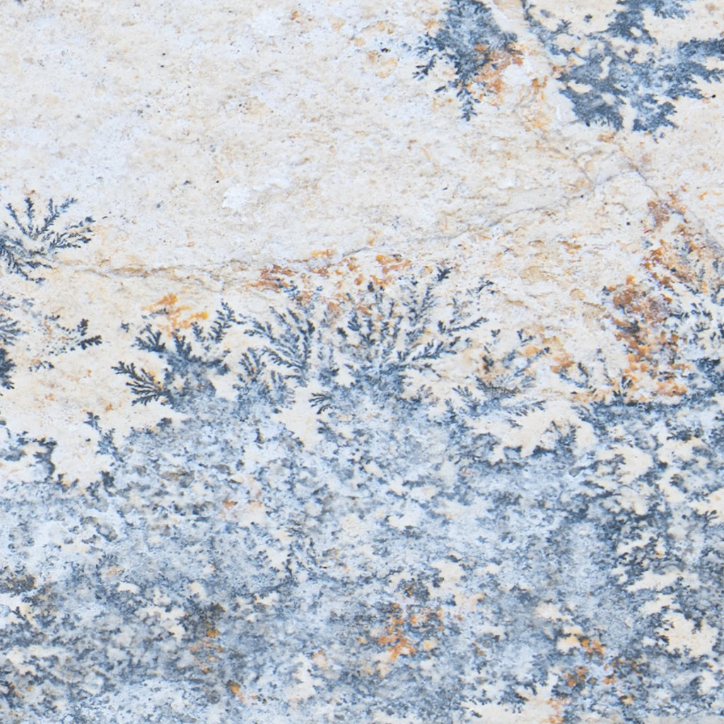 Dendrite Crystal Portraits