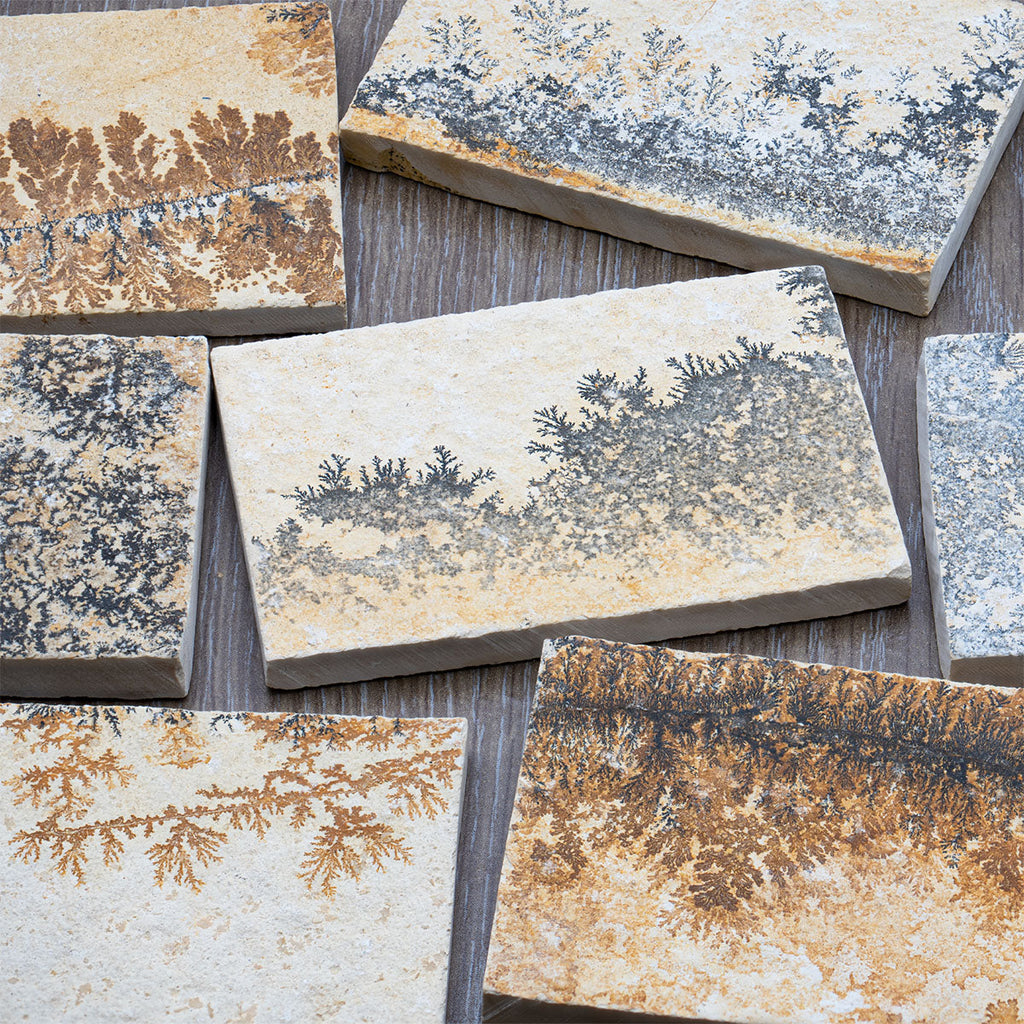 Dendrite Crystal Portraits