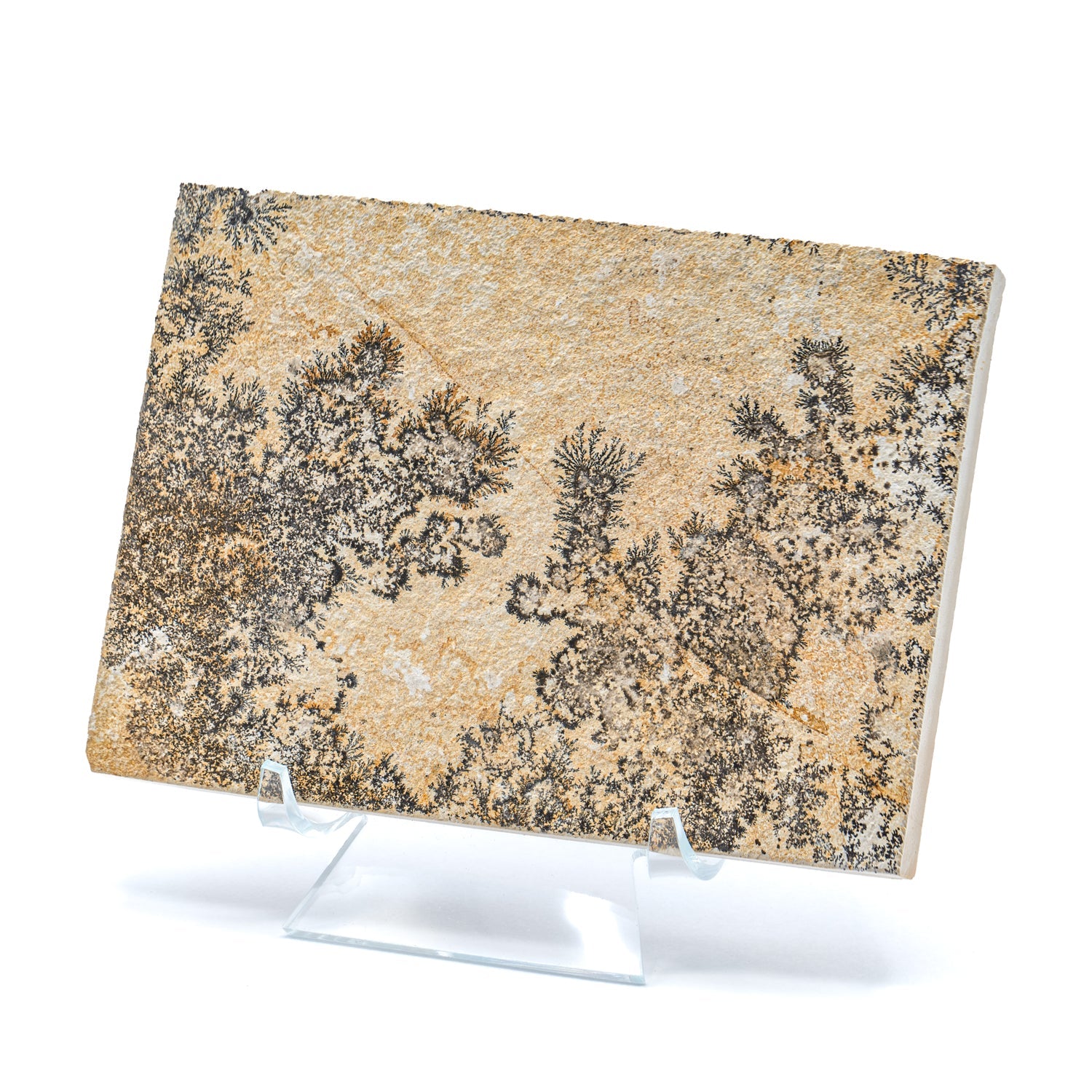 Dendrite Crystal Portraits
