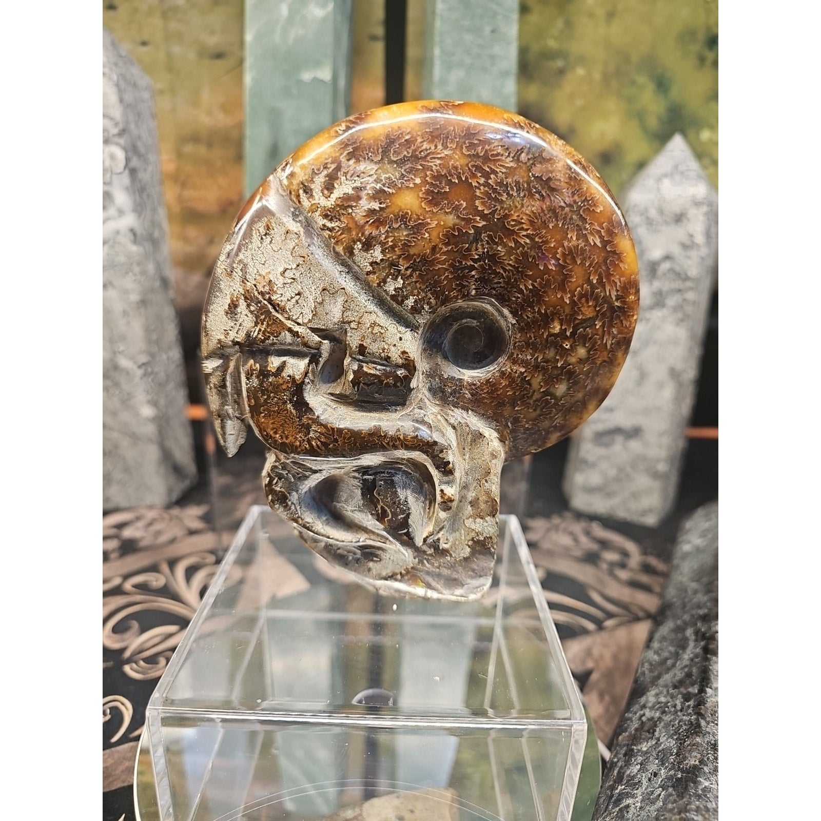 1.26LB Rare! Natural Tentacle Ammonite FossilSpecimen Shell Healing Madagascar by CrystalCloud Company