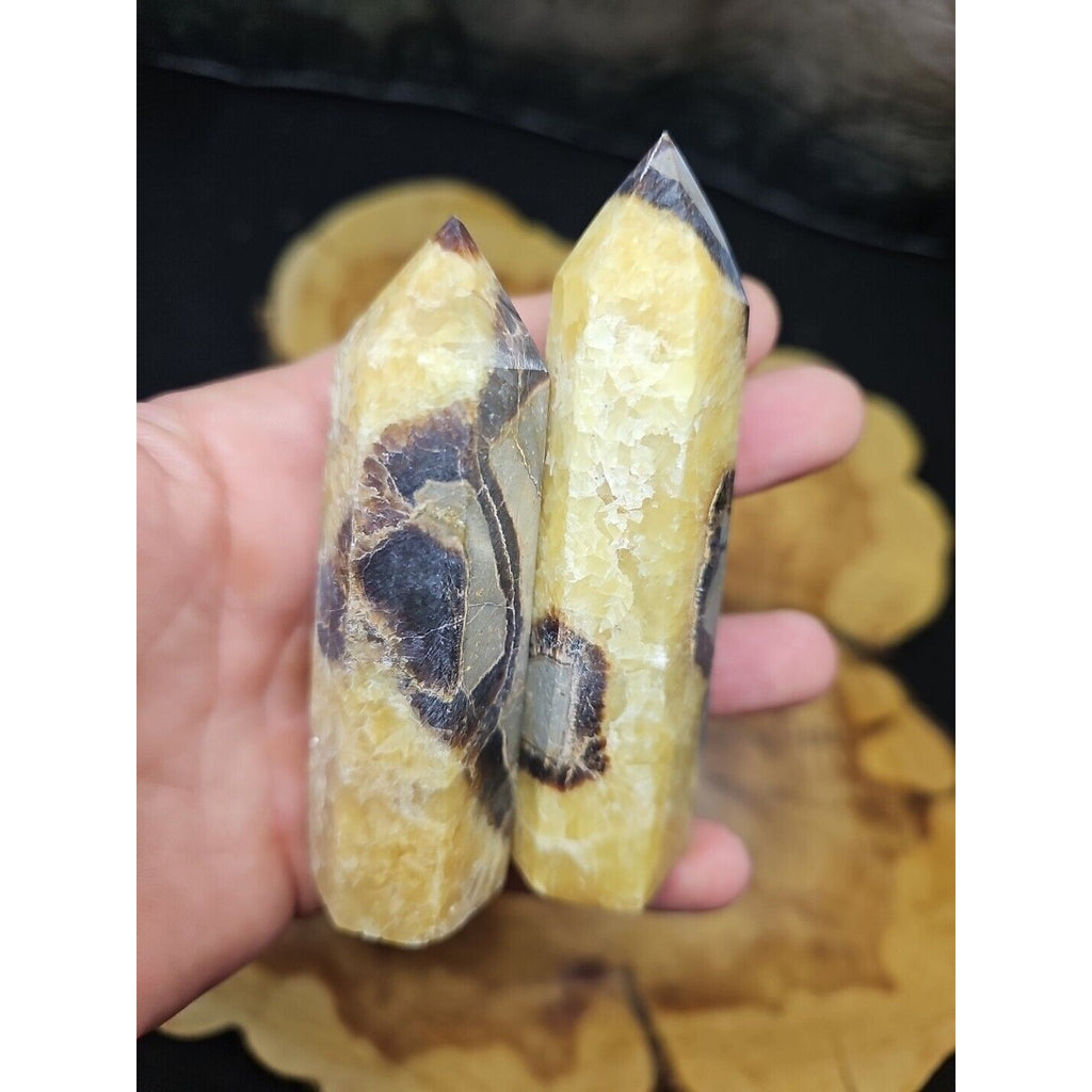 .59LB 2Pcs Natural Dragon Septarian Geode Quartz Cluster Crystal Point Healing by CrystalCloud Company