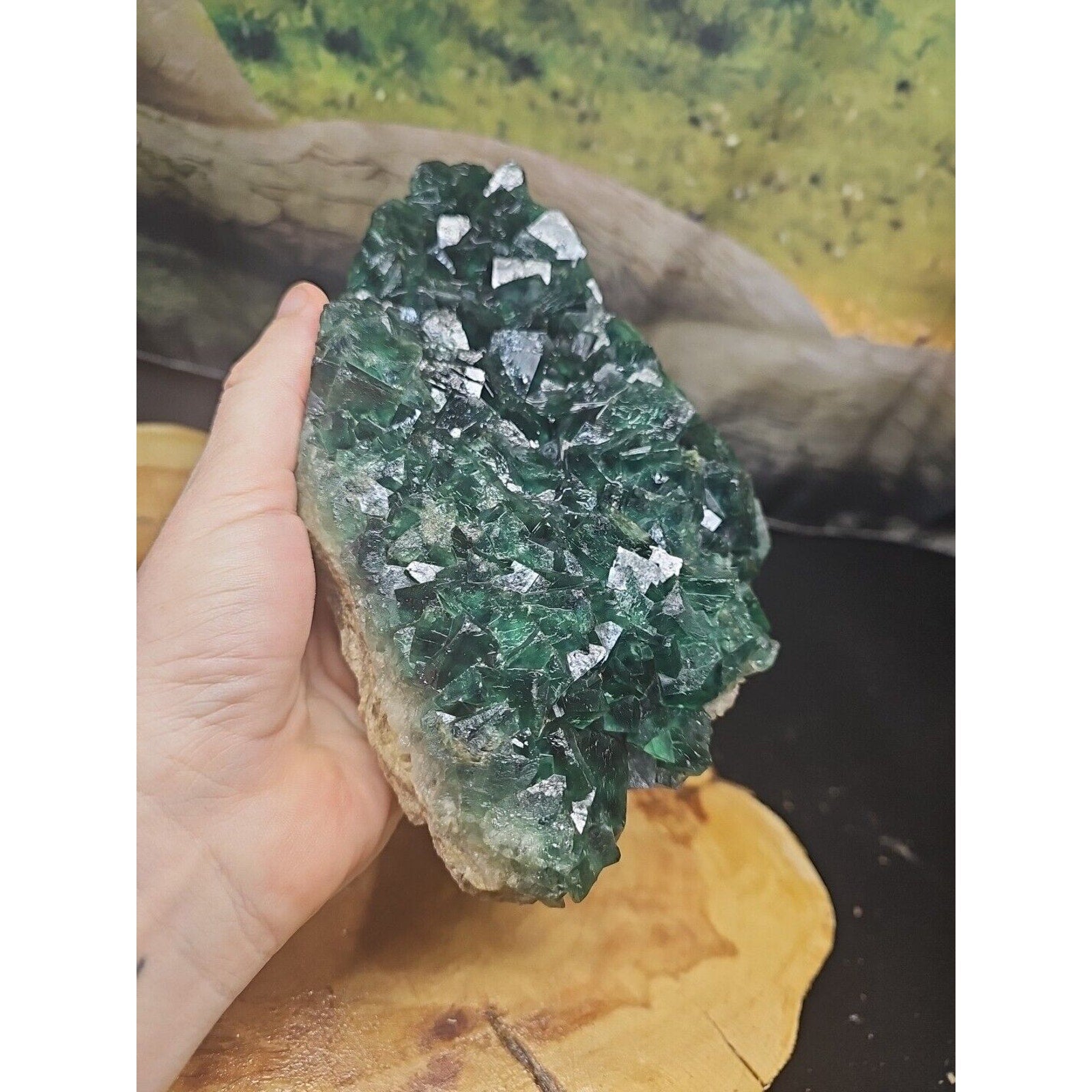 3.2lb NATURAL Green FLUORITE Quartz Crystal Cluster Mineral Specimen by CrystalCloud Company