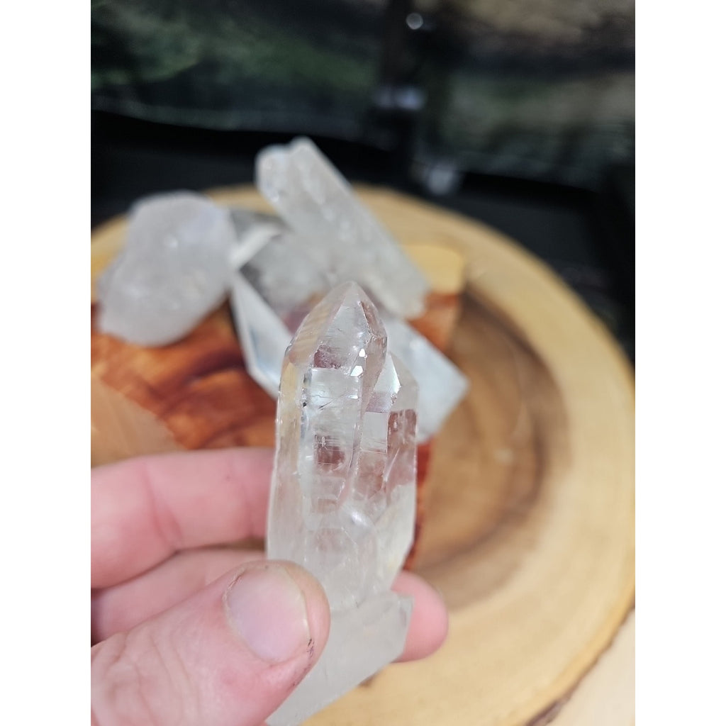 Brazilian Quartz Crystal W/wood Base .77lb Crystals by CrystalCloud Company
