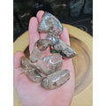 1Pcs XL Natural Phantom Ghost Clear Quartz Crystal Stone Tumble Brazil by CrystalCloud Company