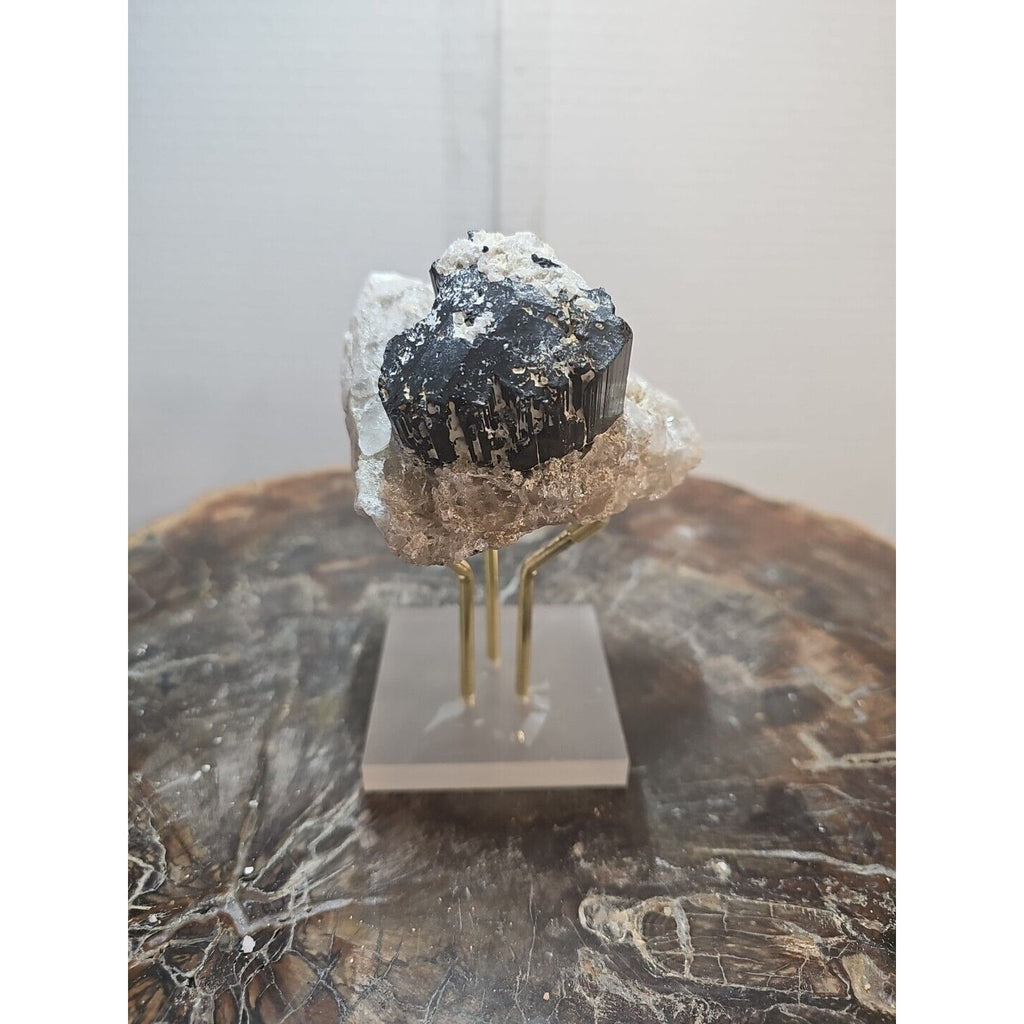 Black Tourmaline Raw Mineral Specimen — 1.11 lbs, Rough Natural Crystal | CrystalCloud Company by CrystalCloud Company