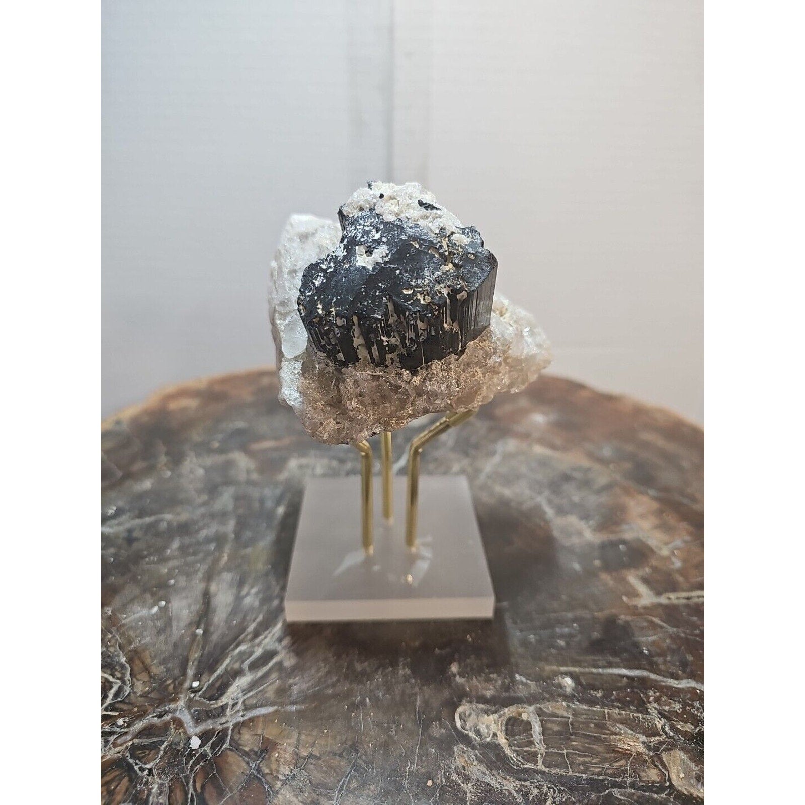 Black Tourmaline Raw Mineral Specimen — 1.11 lbs, Rough Natural Crystal | CrystalCloud Company by CrystalCloud Company