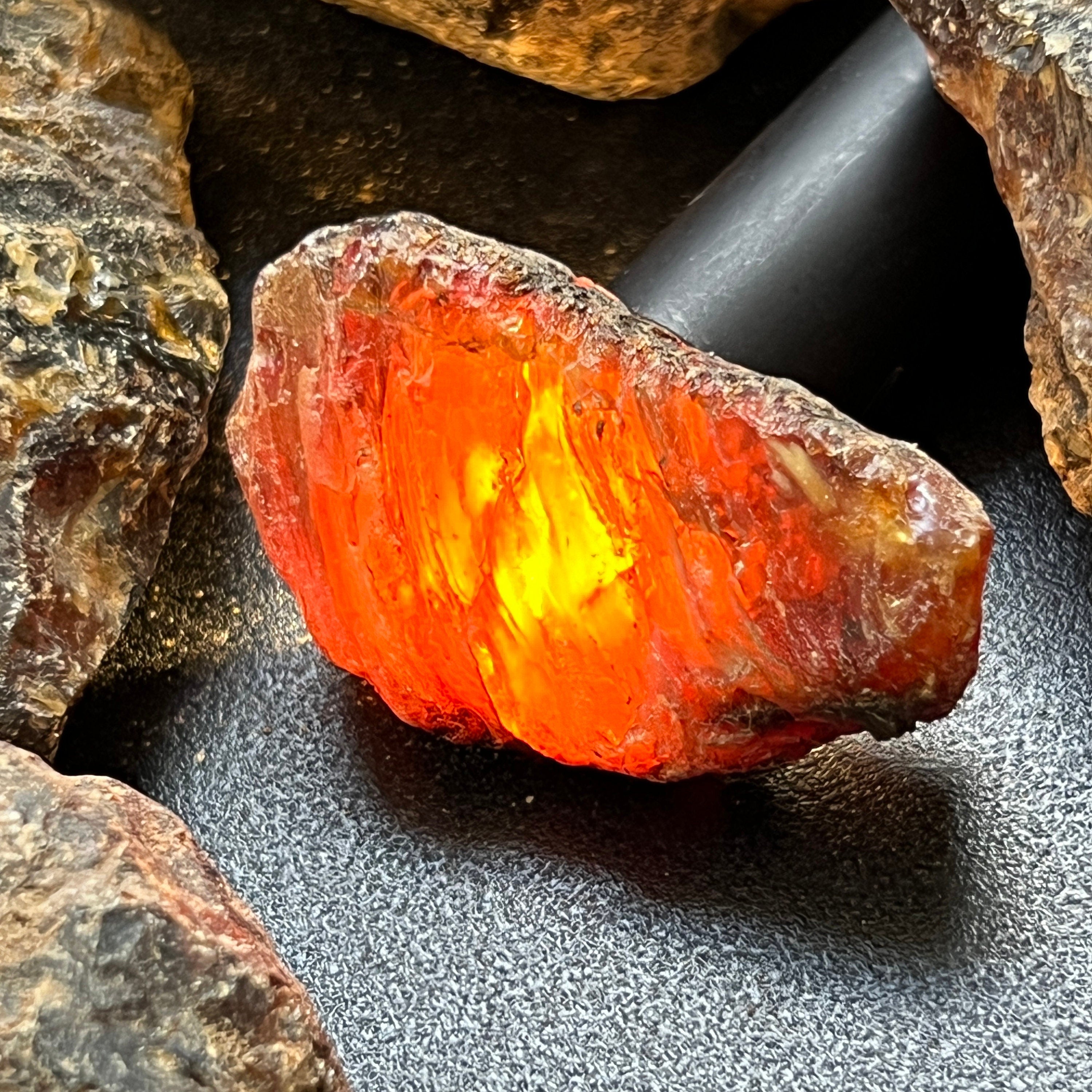 Black Amber Fossilized Tree Resin Mixed Sizes Rough Raw Stones (By The Piece or Pound)(UV Reactive) Wholesale by Amazing Crystals