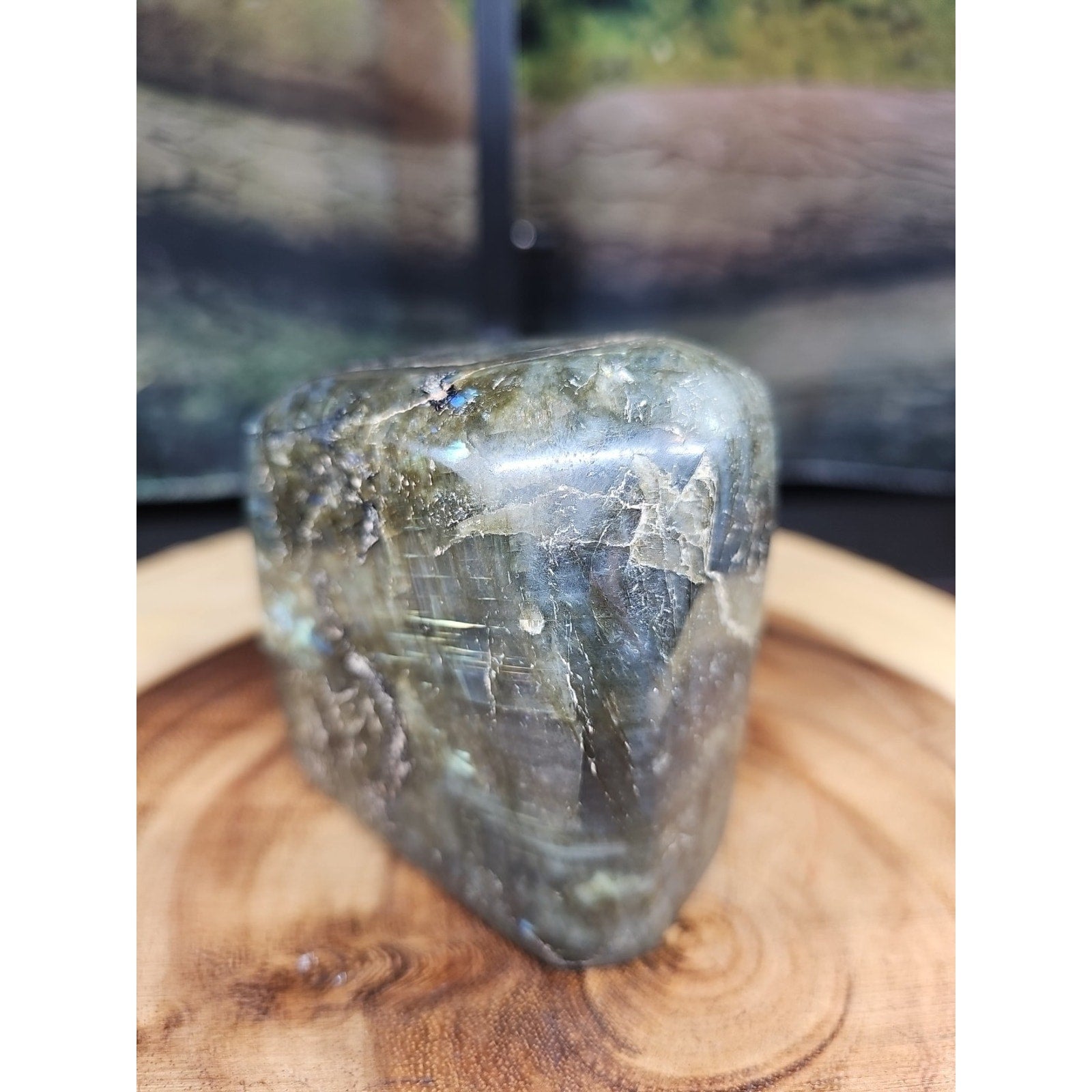 1.60lbs Natural Rainbow Labradorite Crystal Gem Spectrolite Stone by CrystalCloud Company
