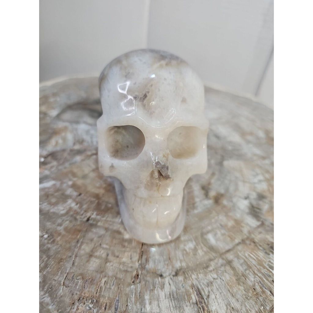 2.2 lb Natural Amethyst Hand-Carved Crystal Skull — Spiritual Collector Piece | CrystalCloud Company by CrystalCloud Company