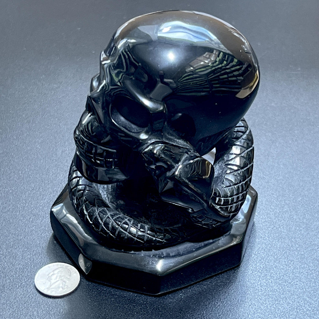 Large Skull and Snake Obsidian Carving Select Wholesale by Amazing Crystals