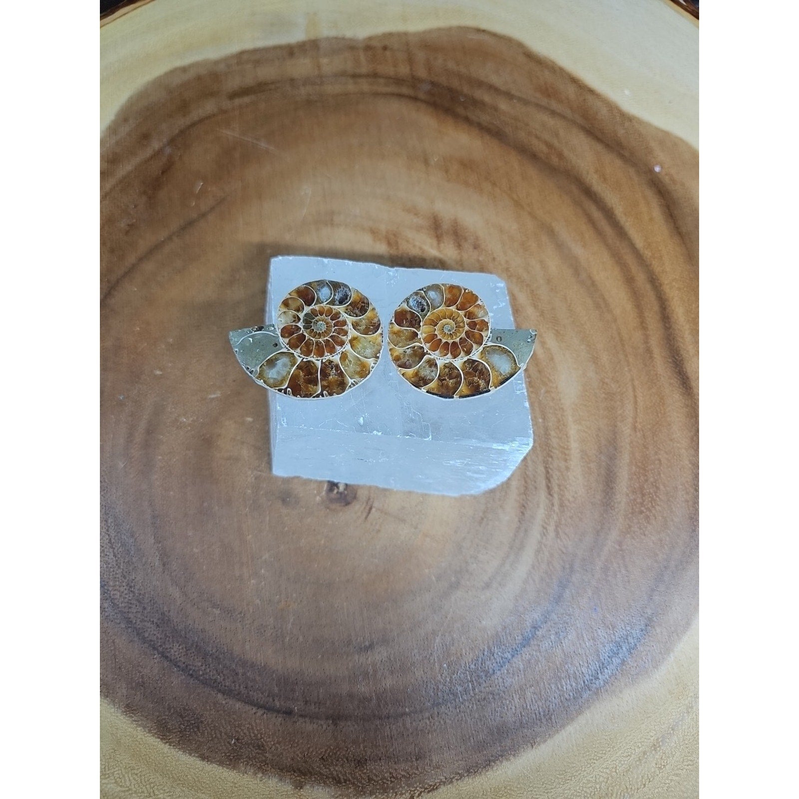 Ammonite Fossil W/Selenite Base 260g by CrystalCloud Company