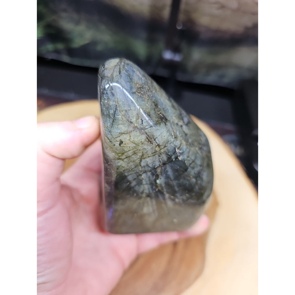1.45LB 1Pcs Natural Rainbow Labradorite Crystal Spectrolite Stone by CrystalCloud Company