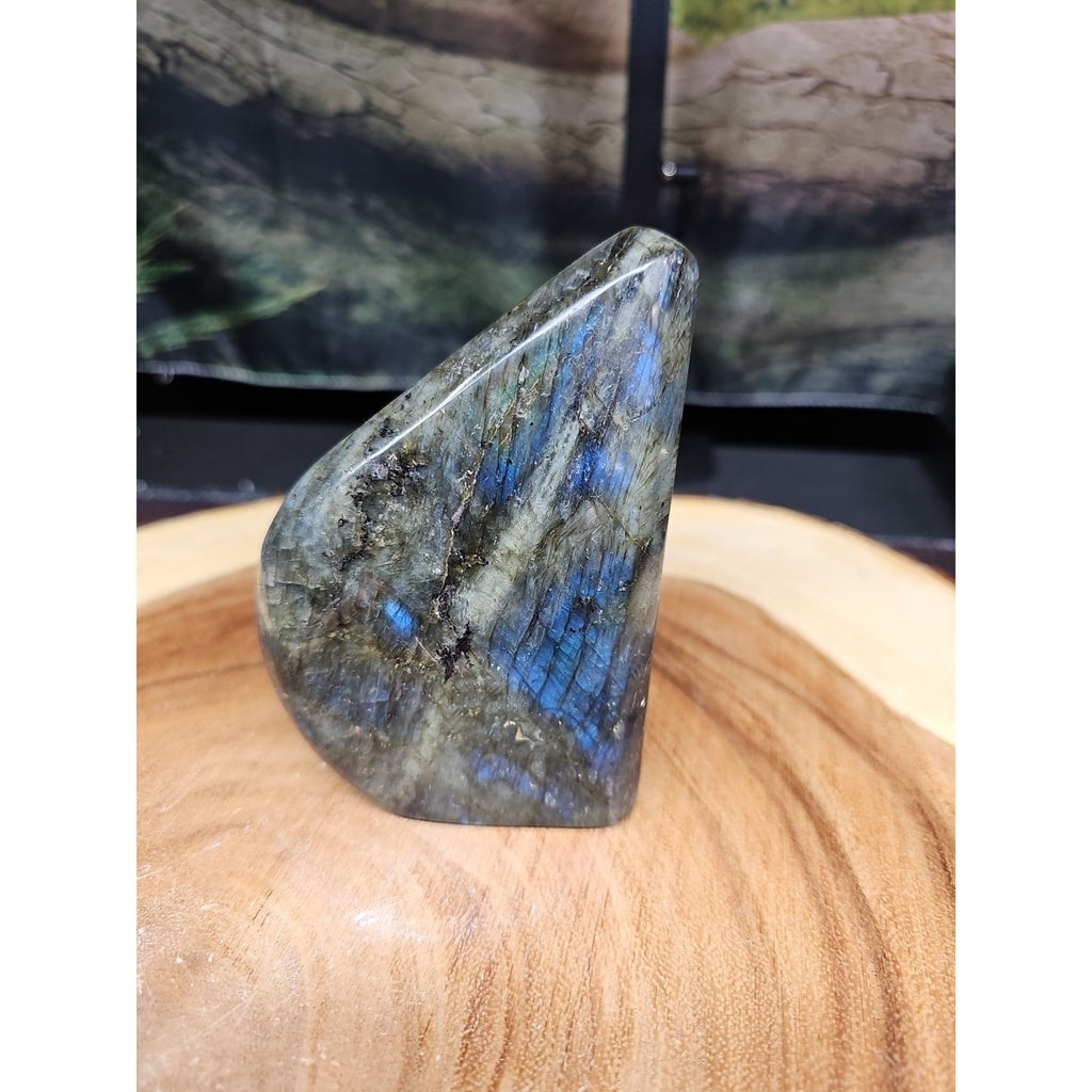 1.45LB 1Pcs Natural Rainbow Labradorite Crystal Spectrolite Stone by CrystalCloud Company