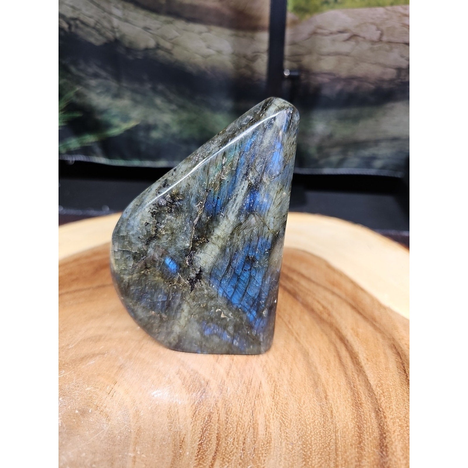 1.45LB 1Pcs Natural Rainbow Labradorite Crystal Spectrolite Stone by CrystalCloud Company