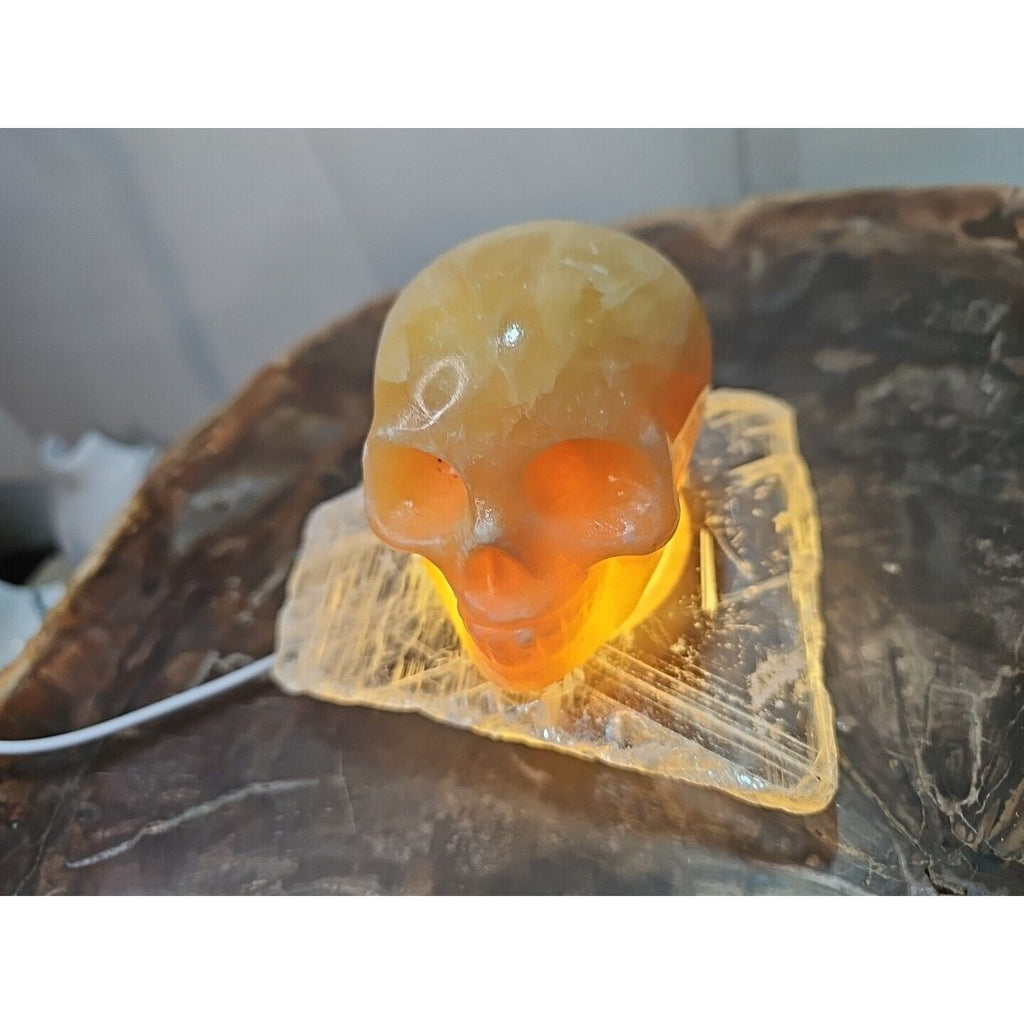 1.62LB Natural Yellow Translucent Calcite Crystal Skull W/Selenite Base & Led by CrystalCloud Company