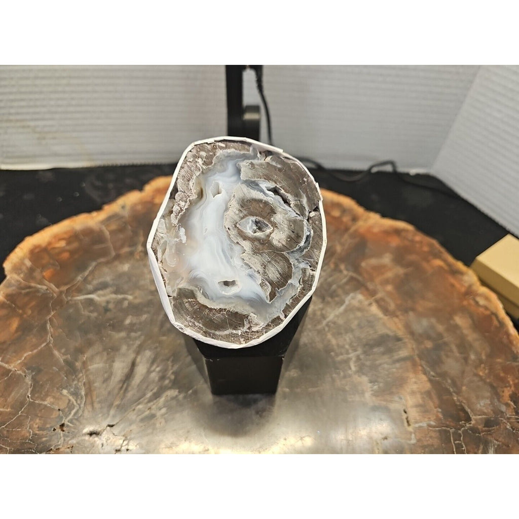 Polish Geode 273g by CrystalCloud Company