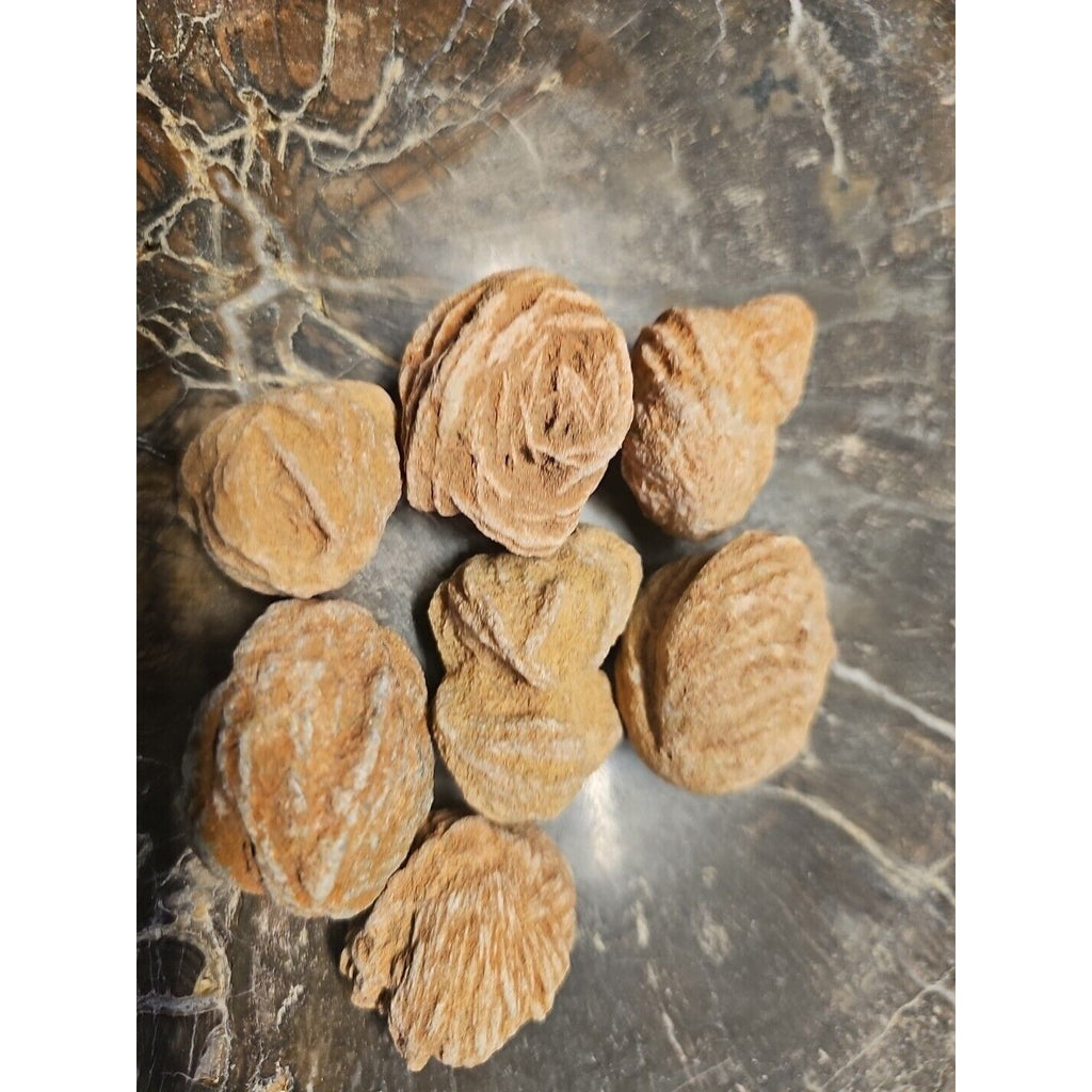 Desert Rose Stones by CrystalCloud Company
