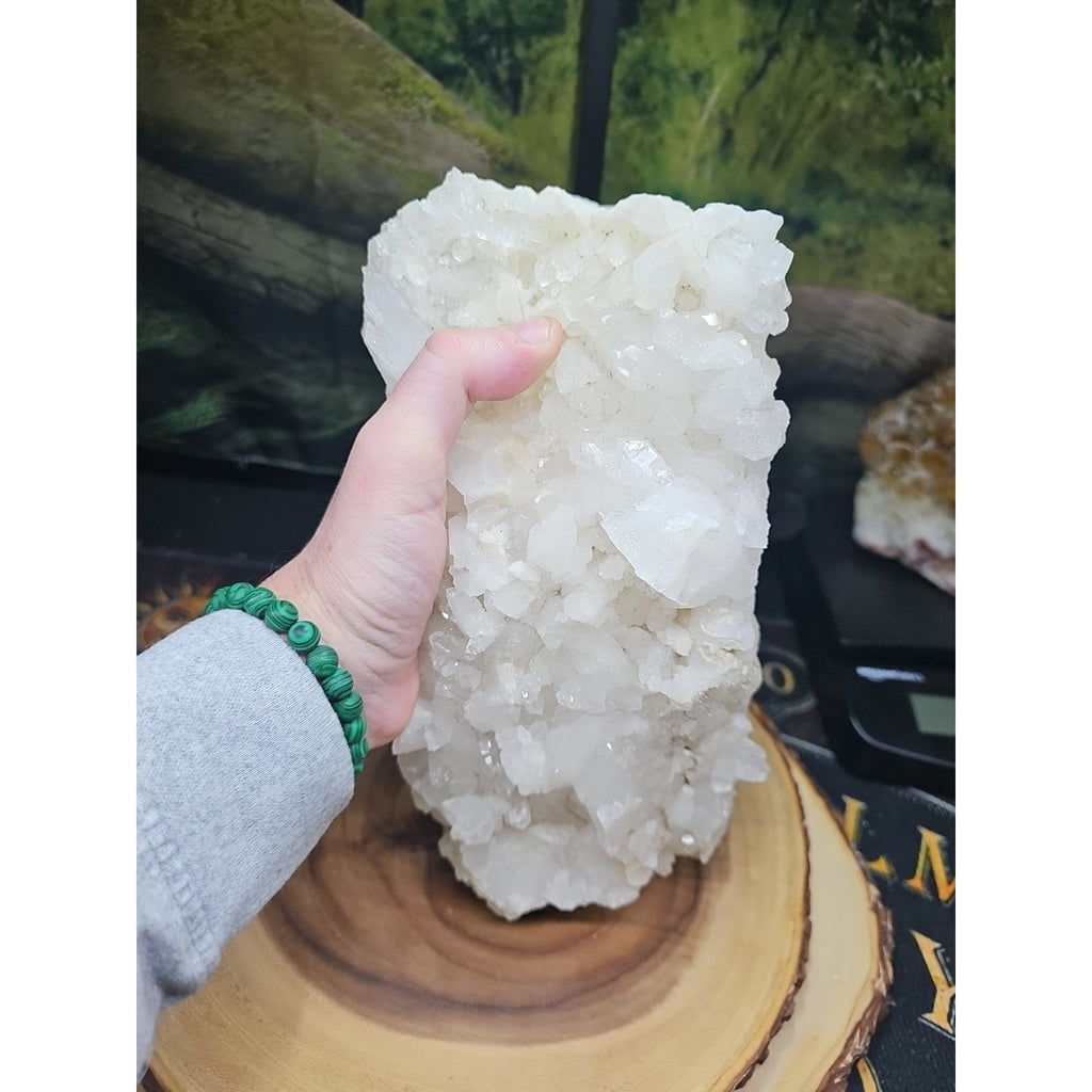 6.2 Lbs White Crystal Quartz by CrystalCloud Company