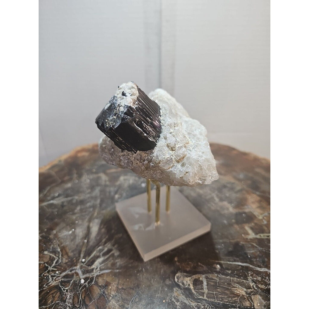 Black Tourmaline Raw Mineral Specimen — 1.11 lbs, Rough Natural Crystal | CrystalCloud Company by CrystalCloud Company