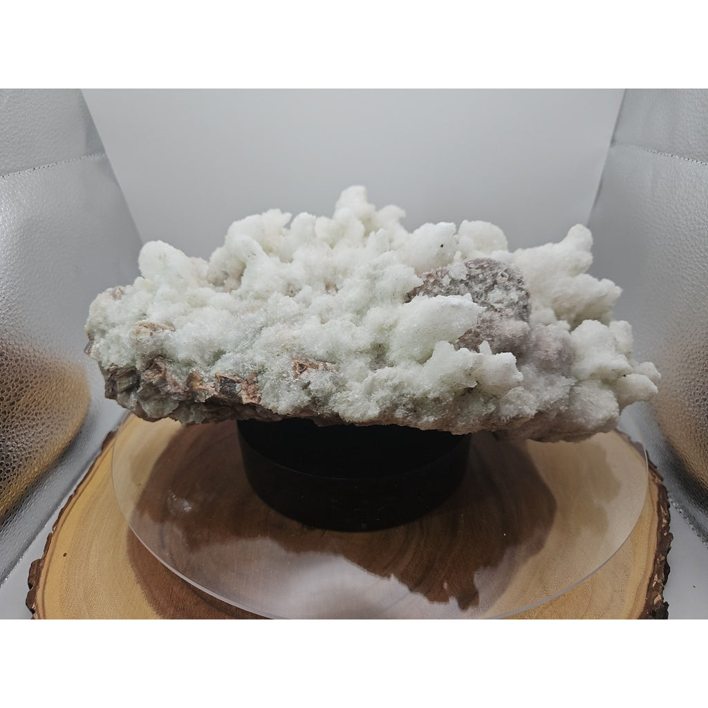 11.27LB New Find Natural Clear Selenite Gypsum Cluster Specimen by CrystalCloud Company