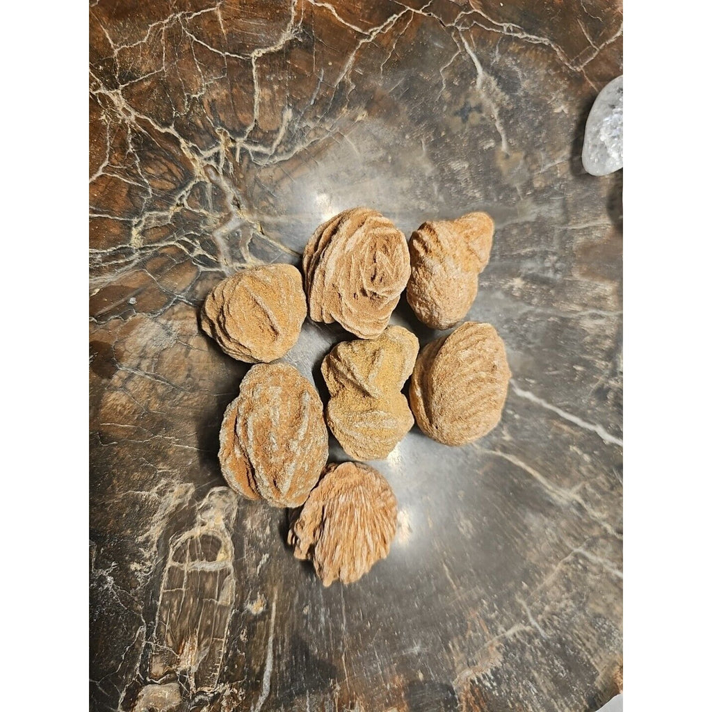 Desert Rose Stones by CrystalCloud Company