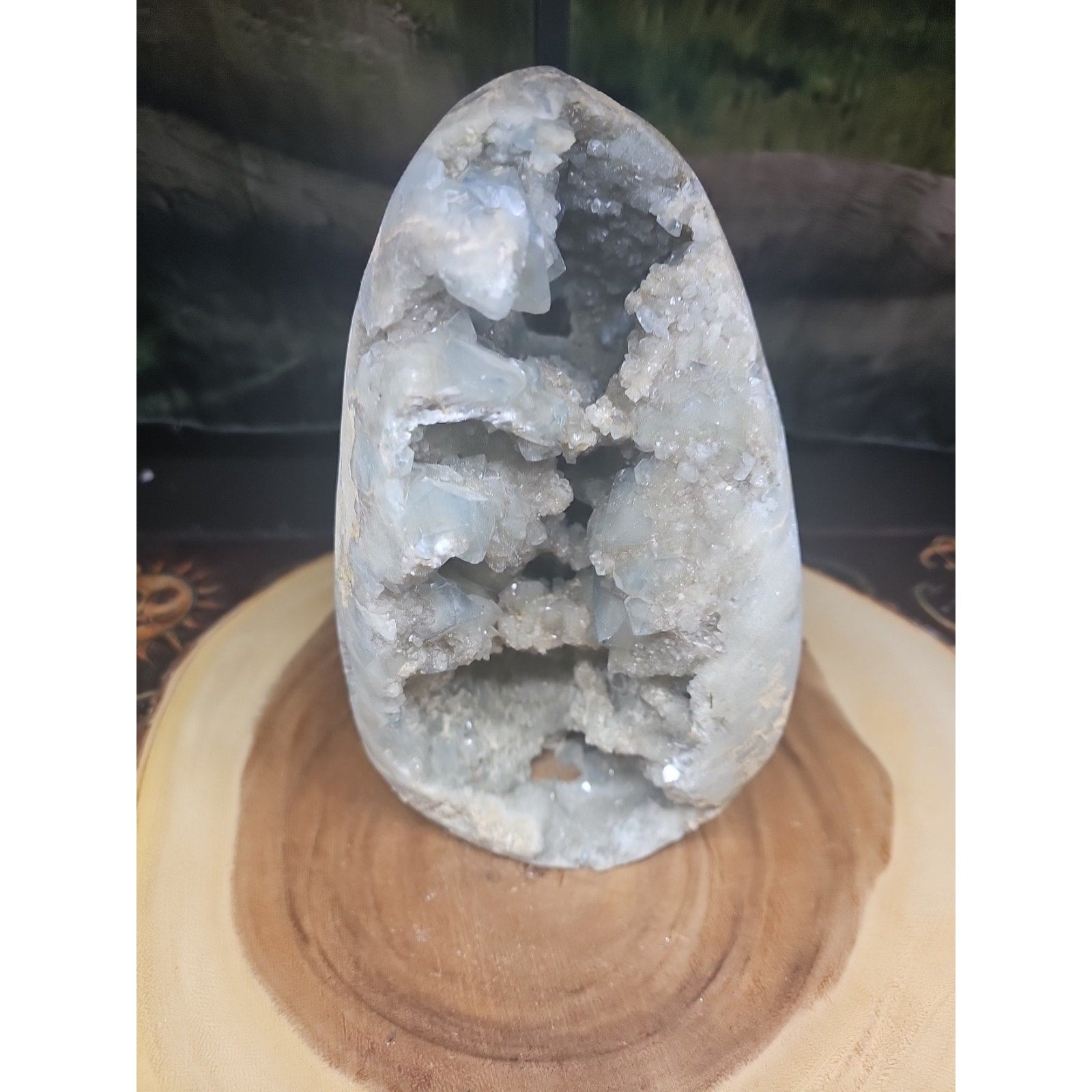 Large Baby Blue Celestite Geode Cluster — 13.6 lbs, 8 inches, Brazil | CrystalCloud Company by CrystalCloud Company