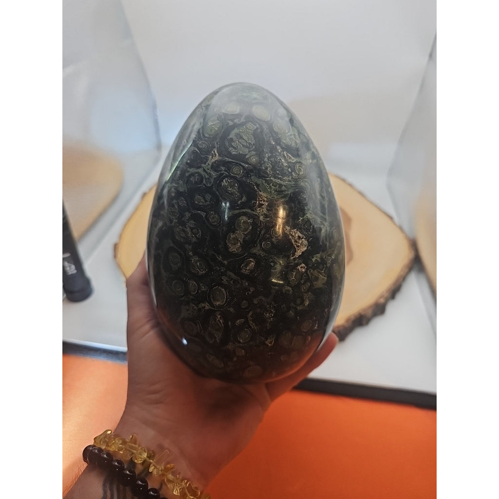 9.1LB Natural Kambaba Jasper Quartz Crystal egg Mineral specimen Healing by CrystalCloud Company