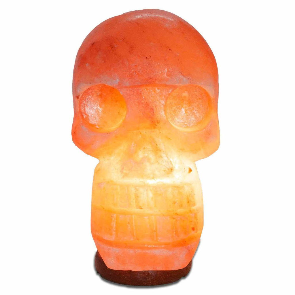 Skull Shaped Salt Lamp - 9.5" avg. - Cord, Bulb, Dimmer by Sacred Crystals