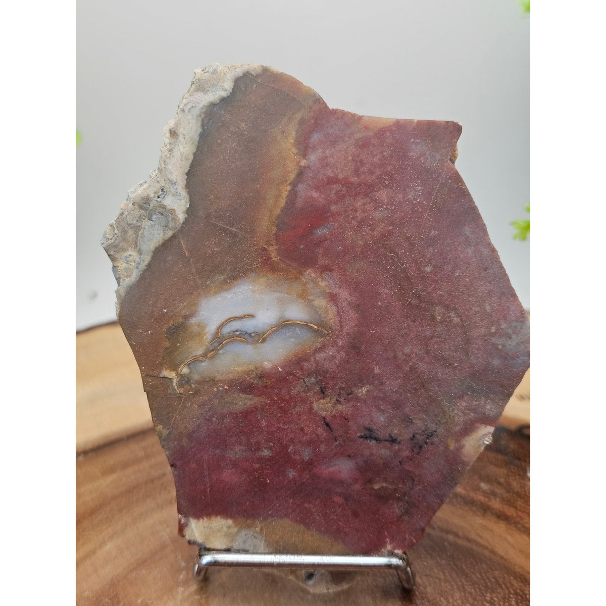 Red Agate Slice on Metal Display Stand