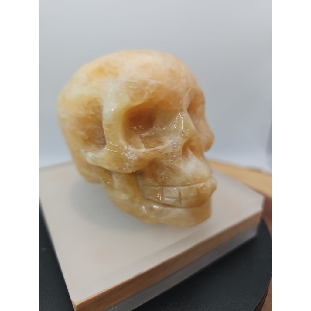 .89lb Natural Jasper Calcite Skulls Crystal Carving Mixed Stones Healing by CrystalCloud Company