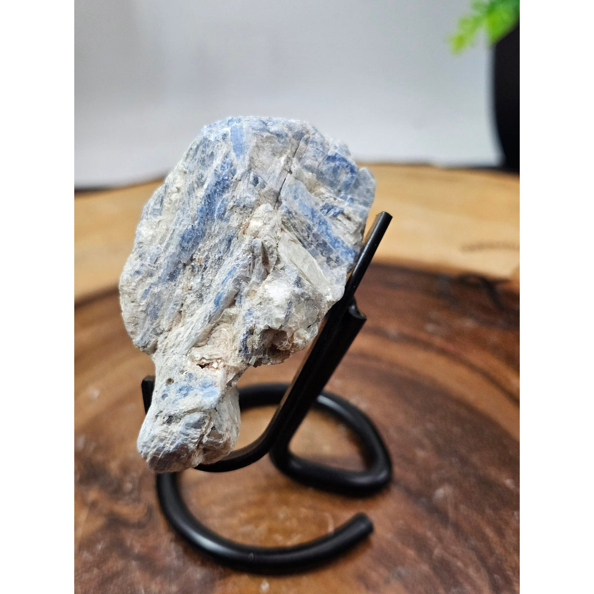 Blue Kyanite Raw Crystal Specimen on Metal Stand