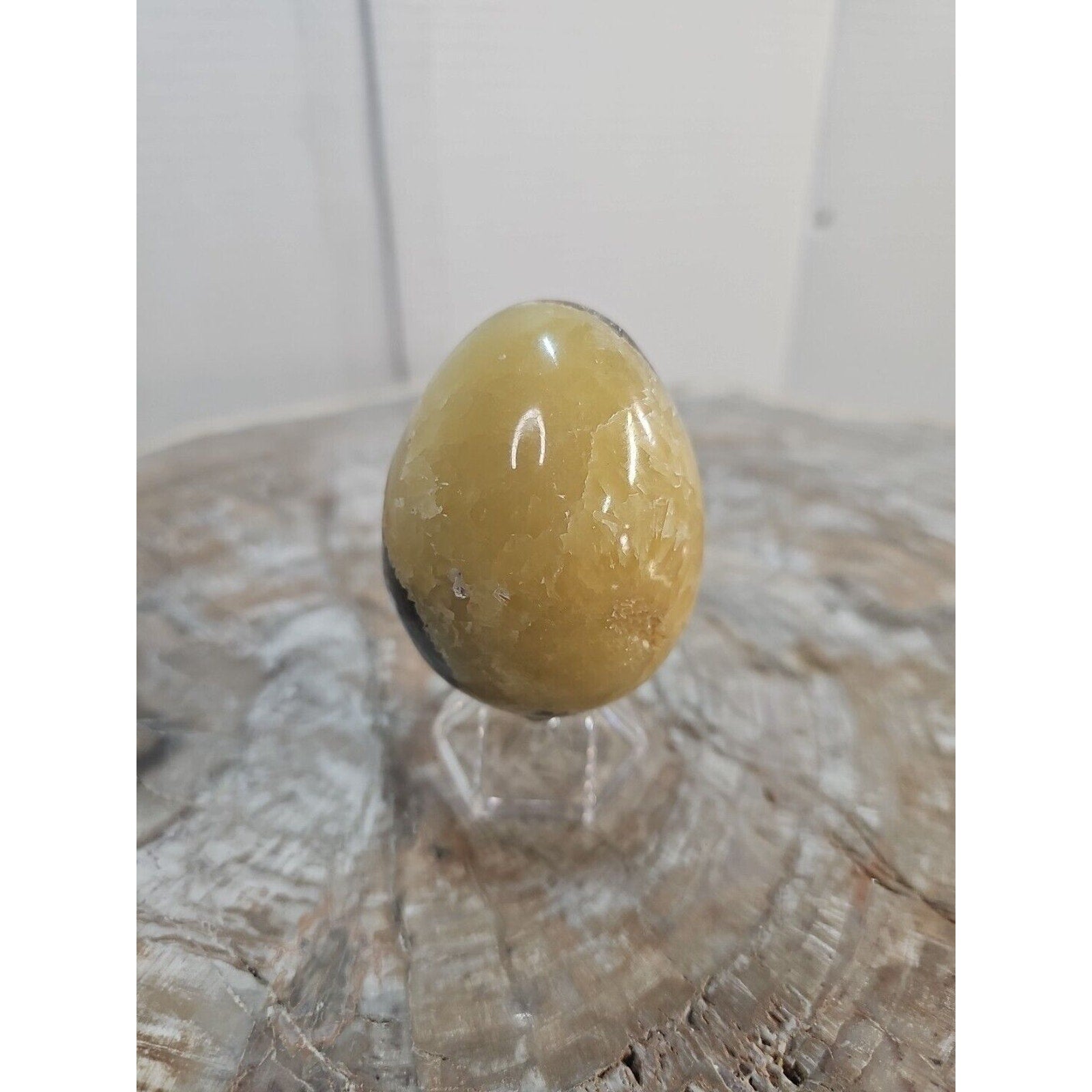 9.0oz Natural Septarian Dragon quartz Crystal egg Mineral Specimen W/Stand by CrystalCloud Company