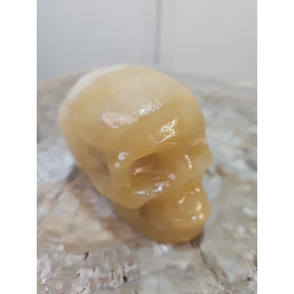 1.48 1Pcs Natural Jasper Calcite Skull Crystal Carving Stones Healing by CrystalCloud Company