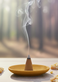 Frankincense Incense Cones by Enchanted Soul
