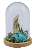 Garden Quartz Terrarium in Glass Dome by Enchanted Soul