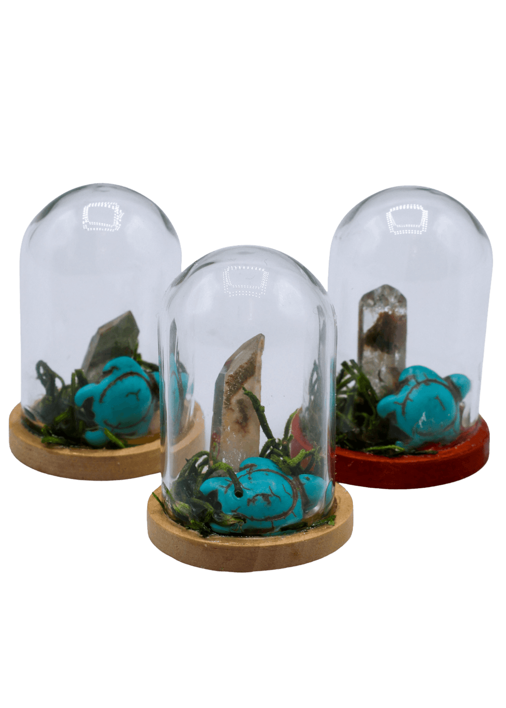 Garden Quartz Terrarium in Glass Dome by Enchanted Soul
