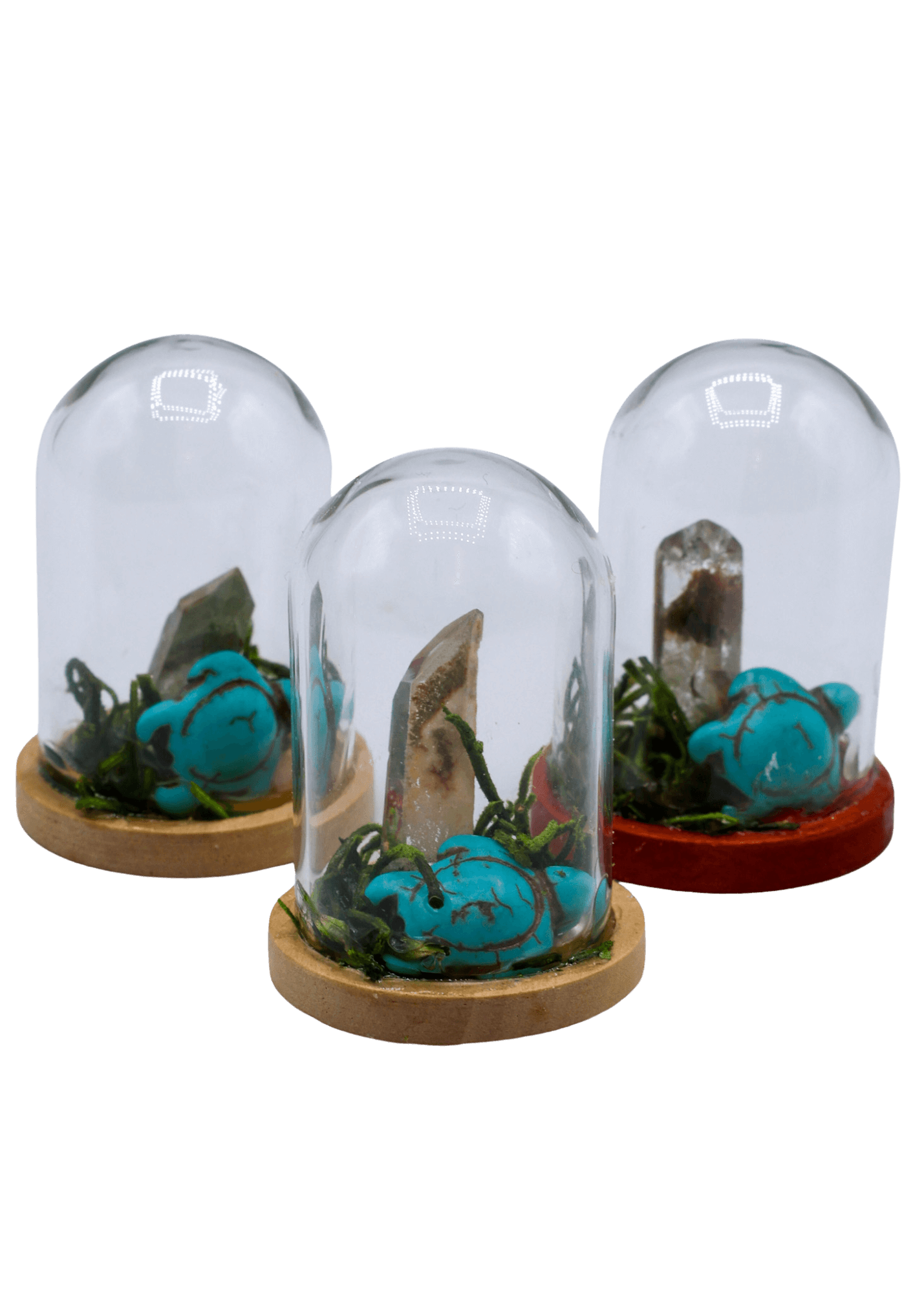 Garden Quartz Terrarium in Glass Dome by Enchanted Soul
