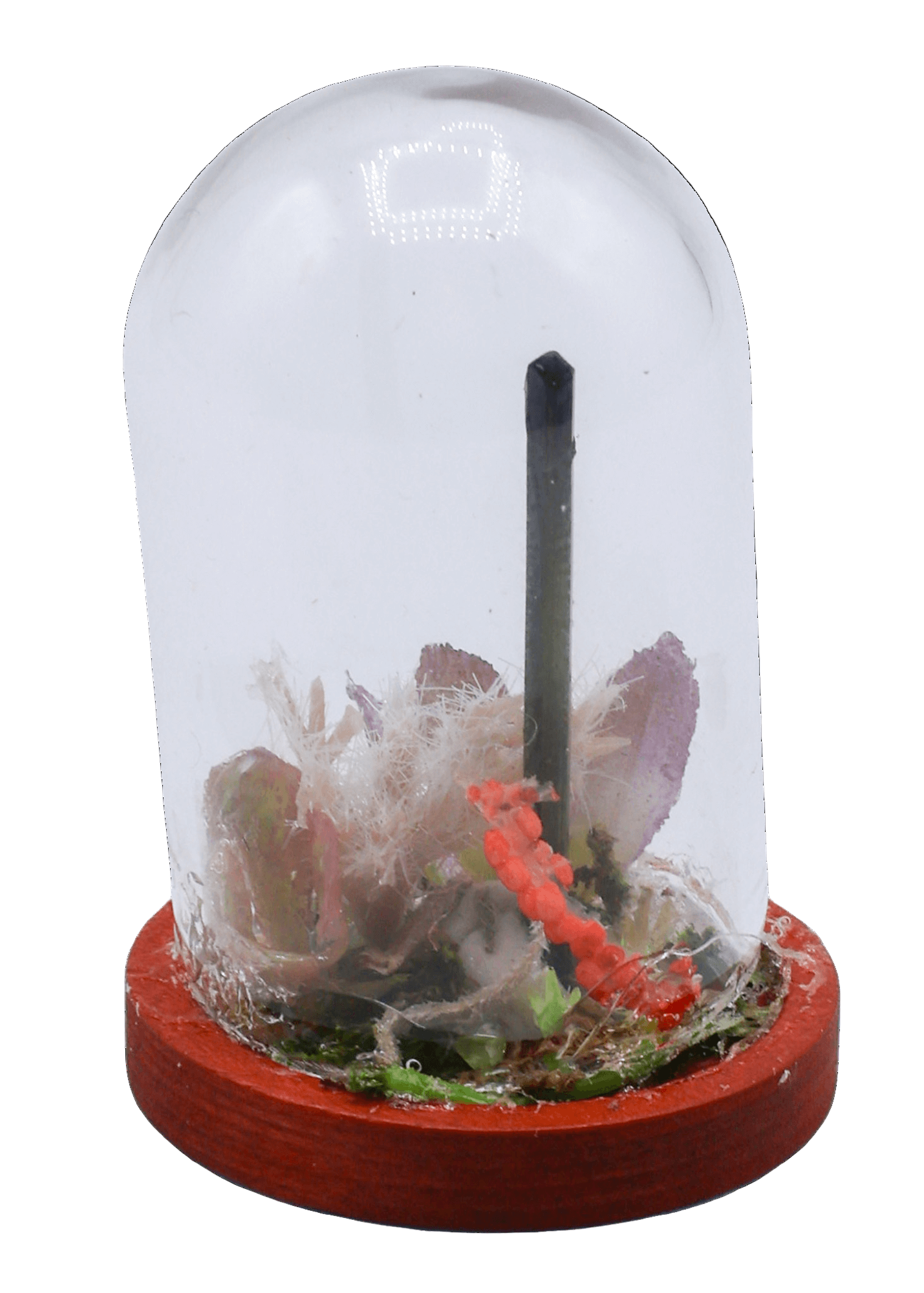 Green Tourmaline Terrarium in Glass Dome by Enchanted Soul