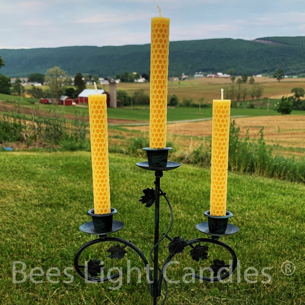 Honeycomb Beeswax Taper Candles