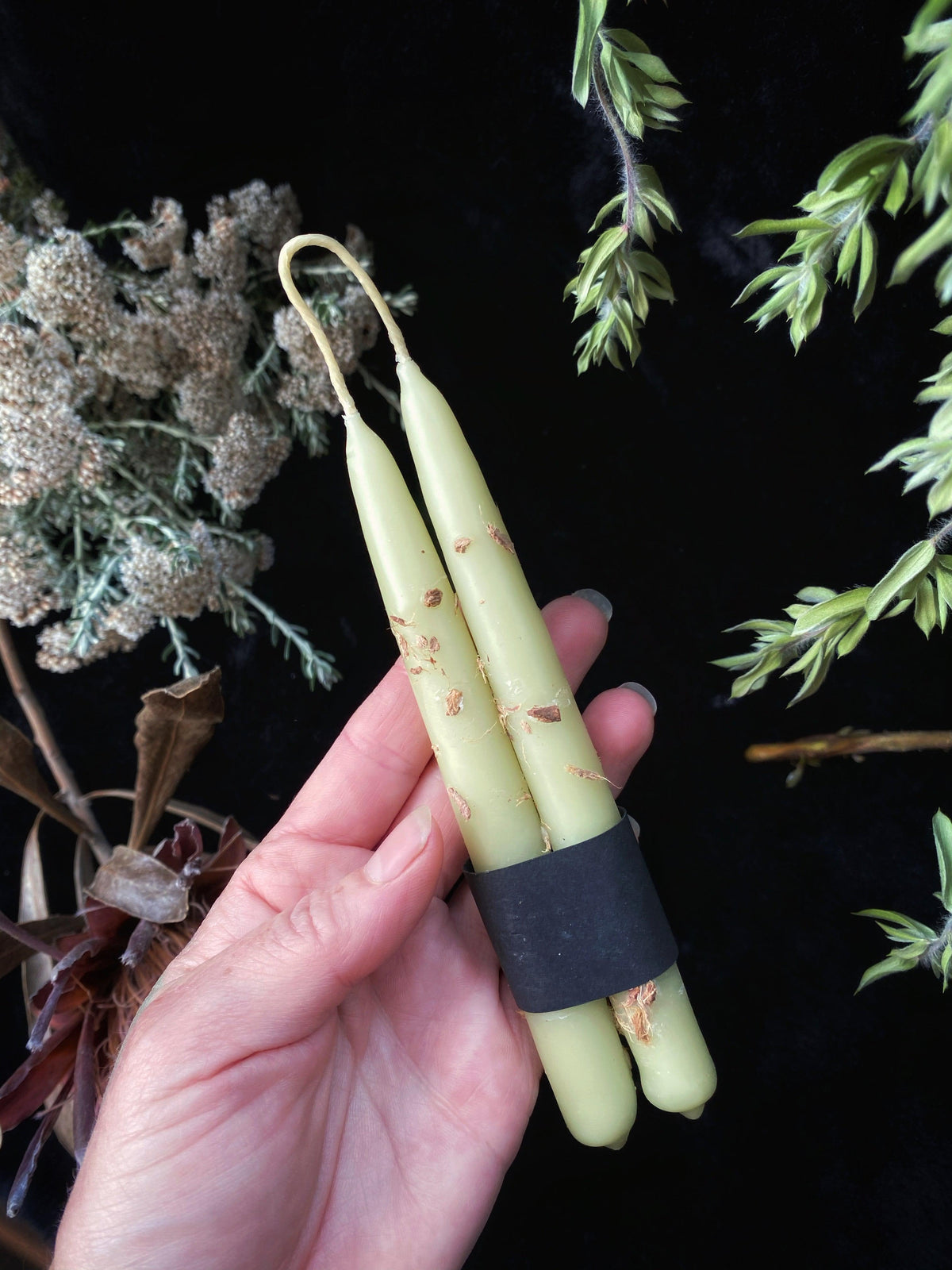 Bayberry Witches Wands - Hand Dipped, Taper Beeswax & Bayberry Wax Prosperity (6" Chime) Candles