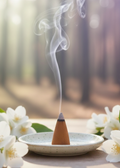 Jasmine Incense Cones by Enchanted Soul