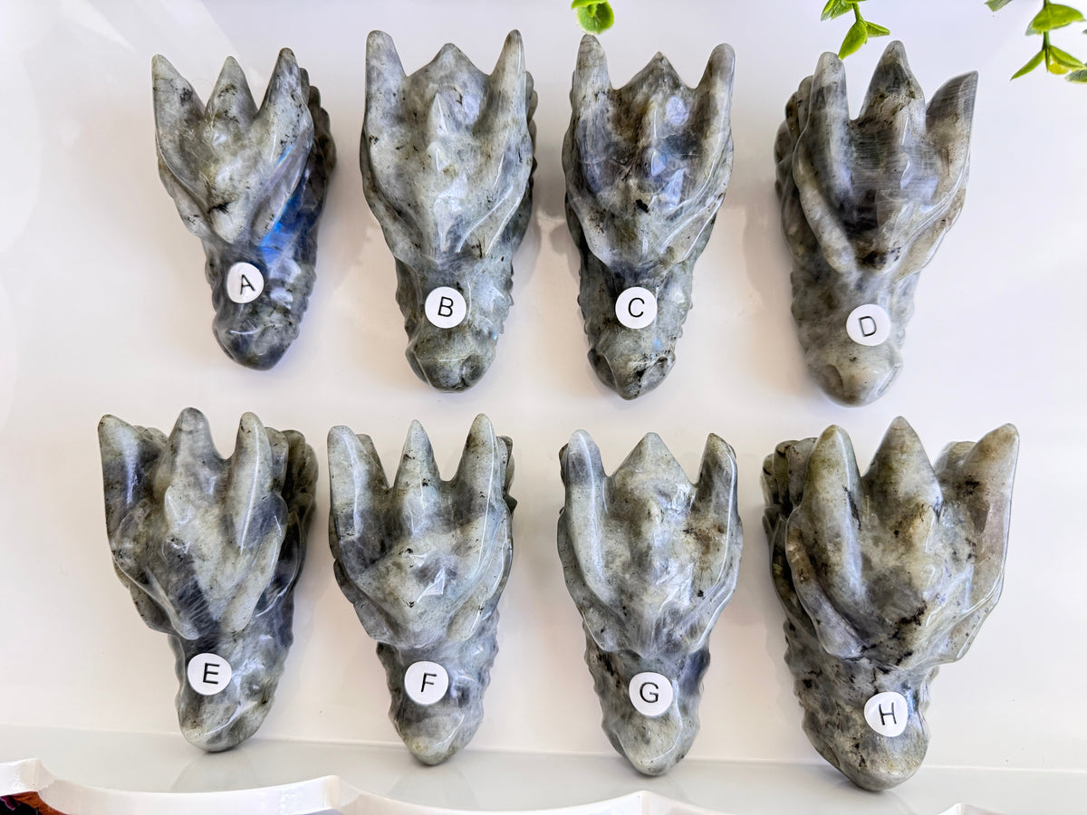Labradorite Dragon Head (C) for Transitions, 4.25 Inch