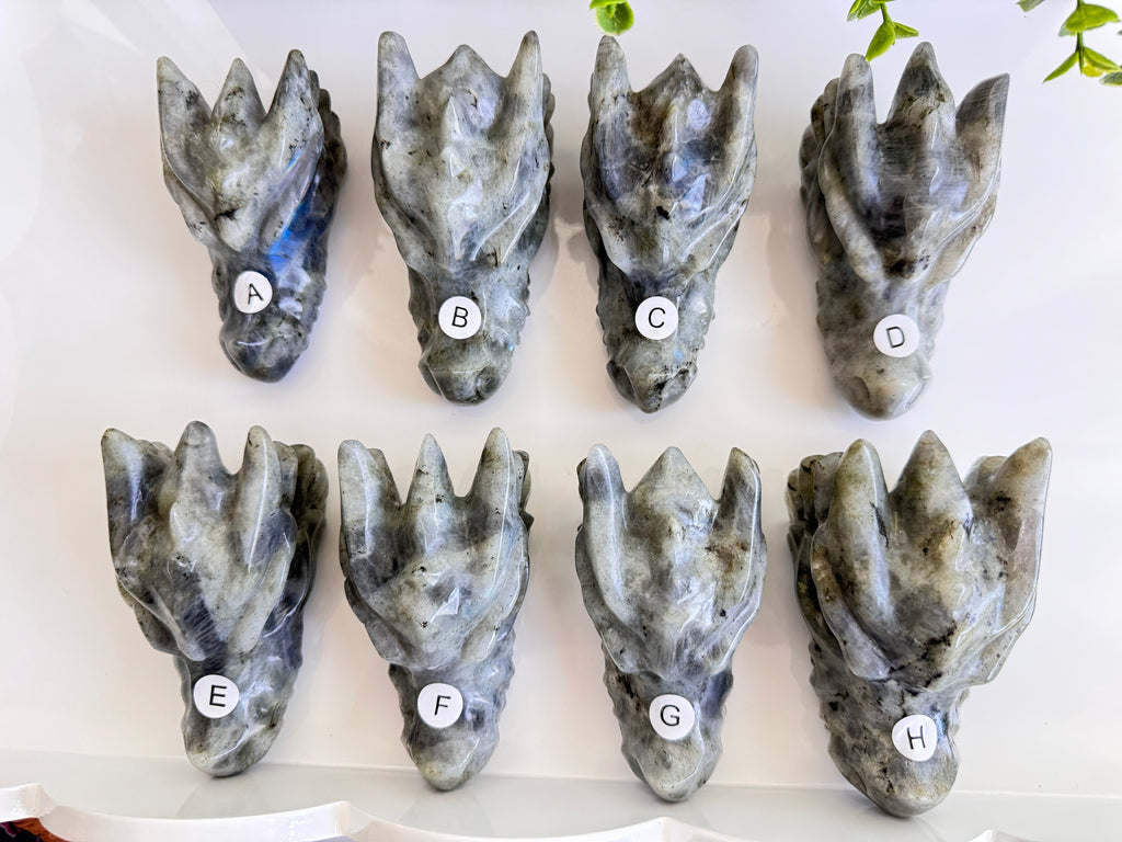 Labradorite Dragon Head (D) for Transitions, 4.25 Inch